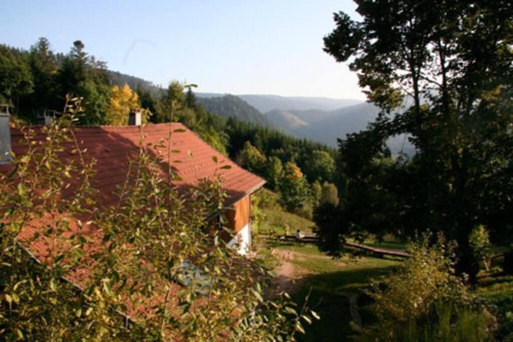 Appartement Dans Vielle Ferme Au Coeur Des Vosges Plainfaing Dış mekan fotoğraf