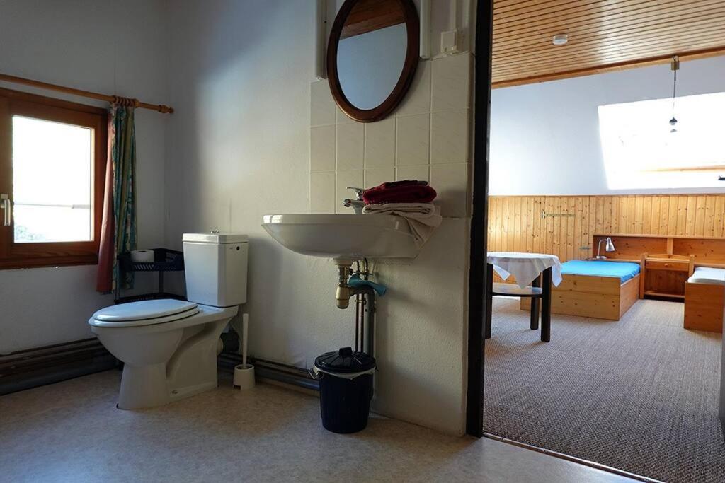 Appartement Dans Vielle Ferme Au Coeur Des Vosges Plainfaing Dış mekan fotoğraf
