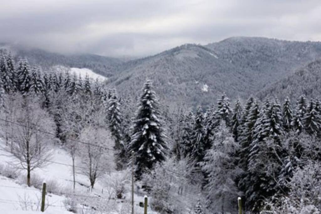 Appartement Dans Vielle Ferme Au Coeur Des Vosges Plainfaing Dış mekan fotoğraf