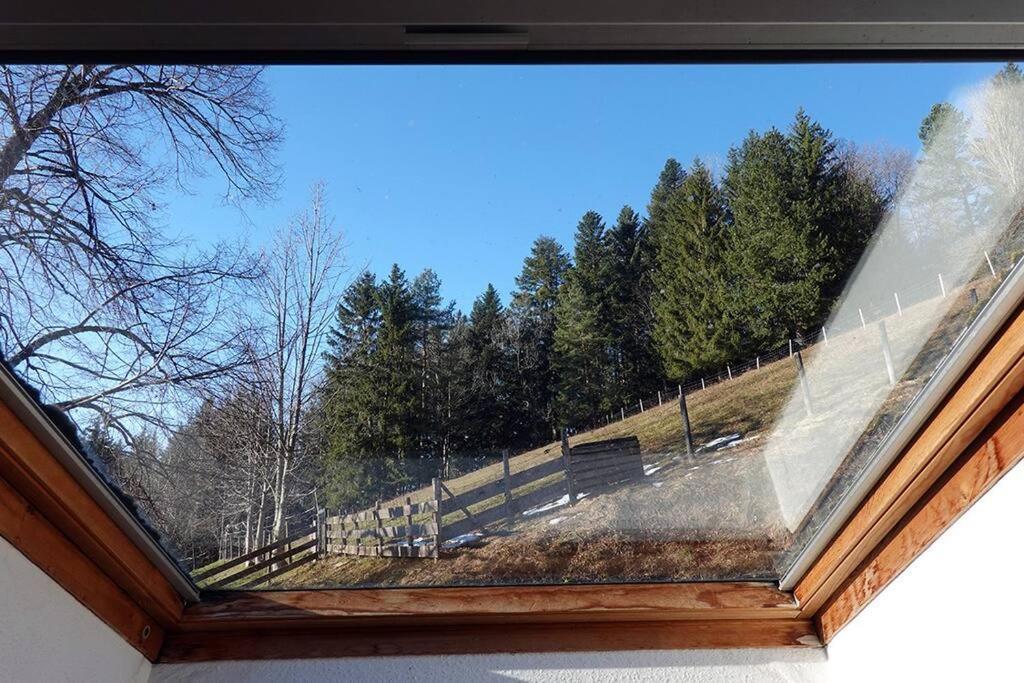 Appartement Dans Vielle Ferme Au Coeur Des Vosges Plainfaing Dış mekan fotoğraf