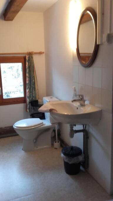 Appartement Dans Vielle Ferme Au Coeur Des Vosges Plainfaing Dış mekan fotoğraf