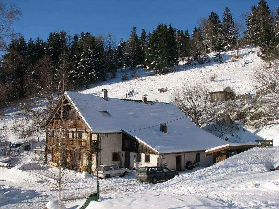 Appartement Dans Vielle Ferme Au Coeur Des Vosges Plainfaing Dış mekan fotoğraf
