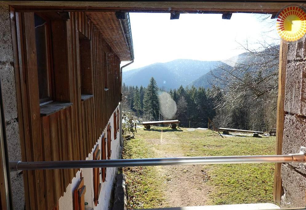 Appartement Dans Vielle Ferme Au Coeur Des Vosges Plainfaing Dış mekan fotoğraf