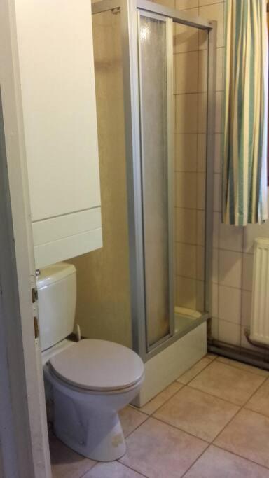 Appartement Dans Vielle Ferme Au Coeur Des Vosges Plainfaing Dış mekan fotoğraf